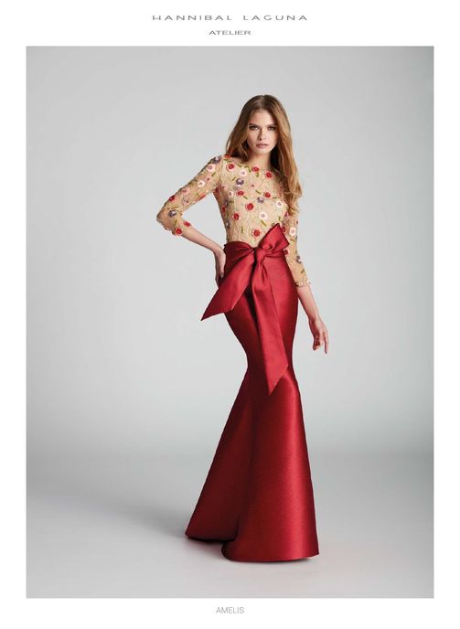Model AMELIS